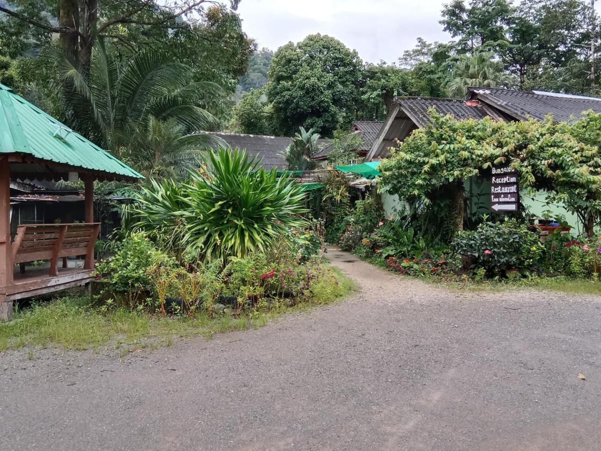 Tree Tops River Huts Khao Sok National Park エクステリア 写真