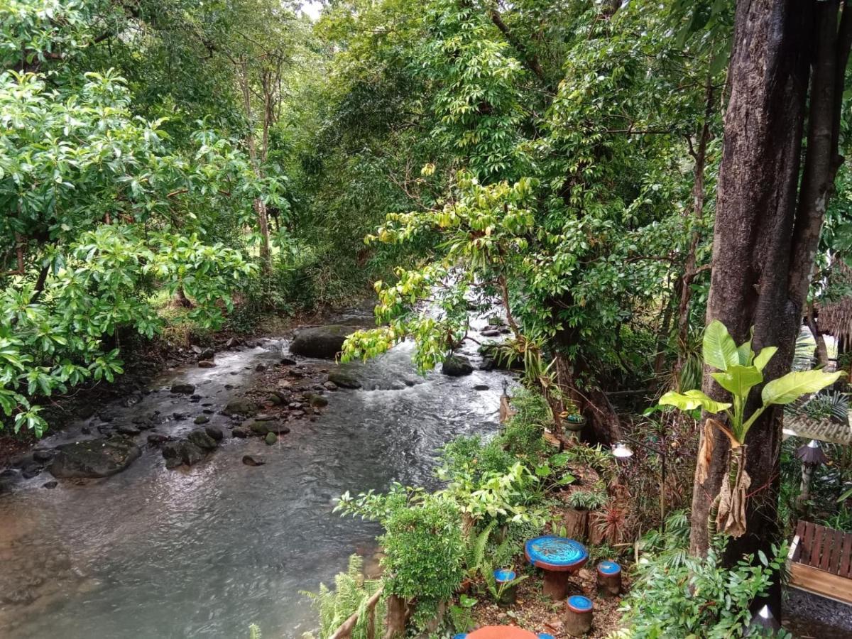 Tree Tops River Huts Khao Sok National Park エクステリア 写真