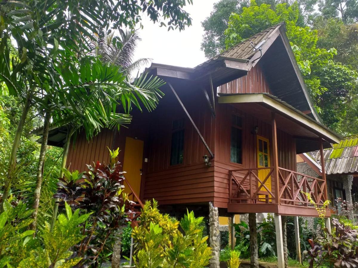 Tree Tops River Huts Khao Sok National Park エクステリア 写真