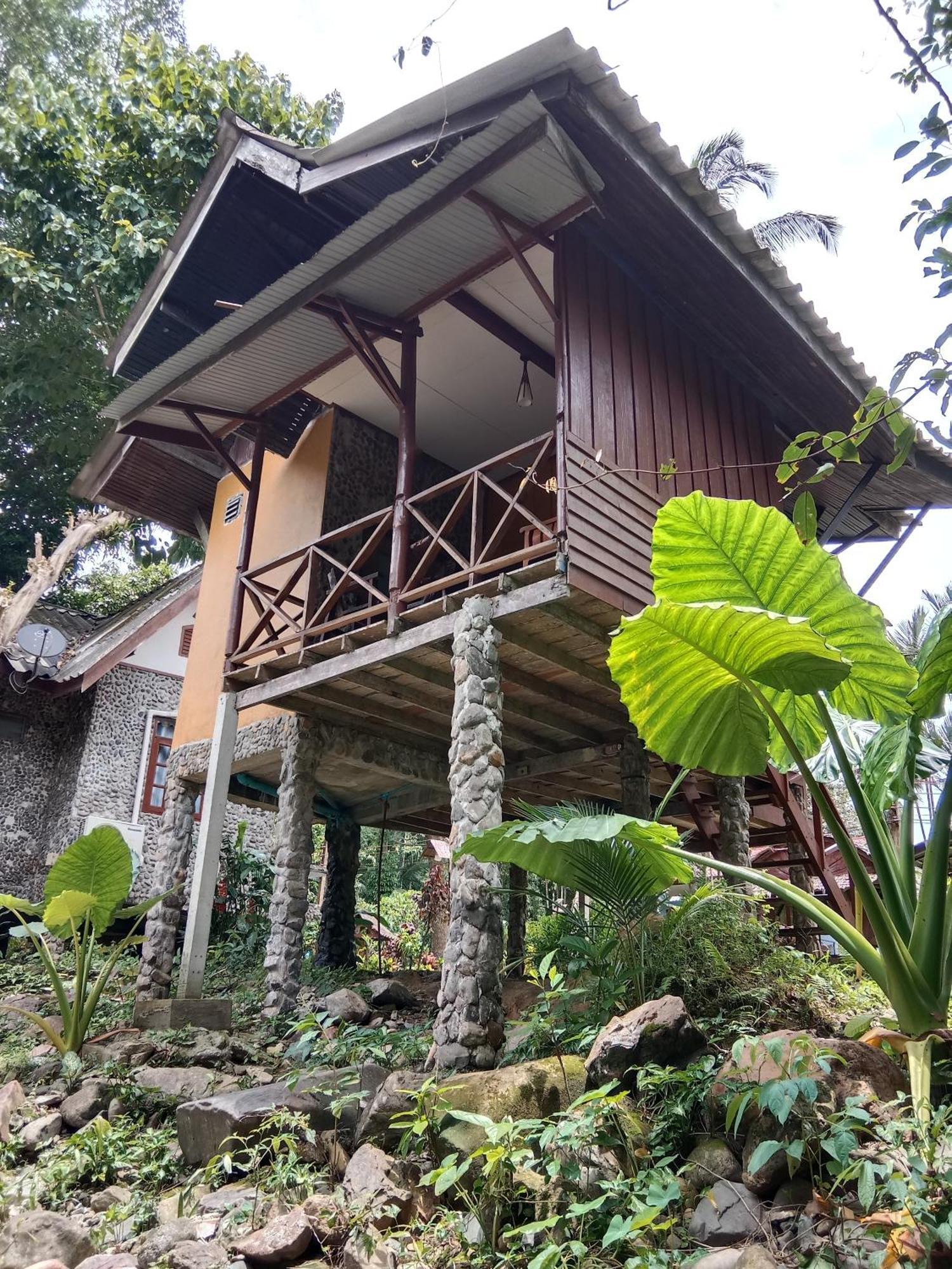 Tree Tops River Huts Khao Sok National Park エクステリア 写真