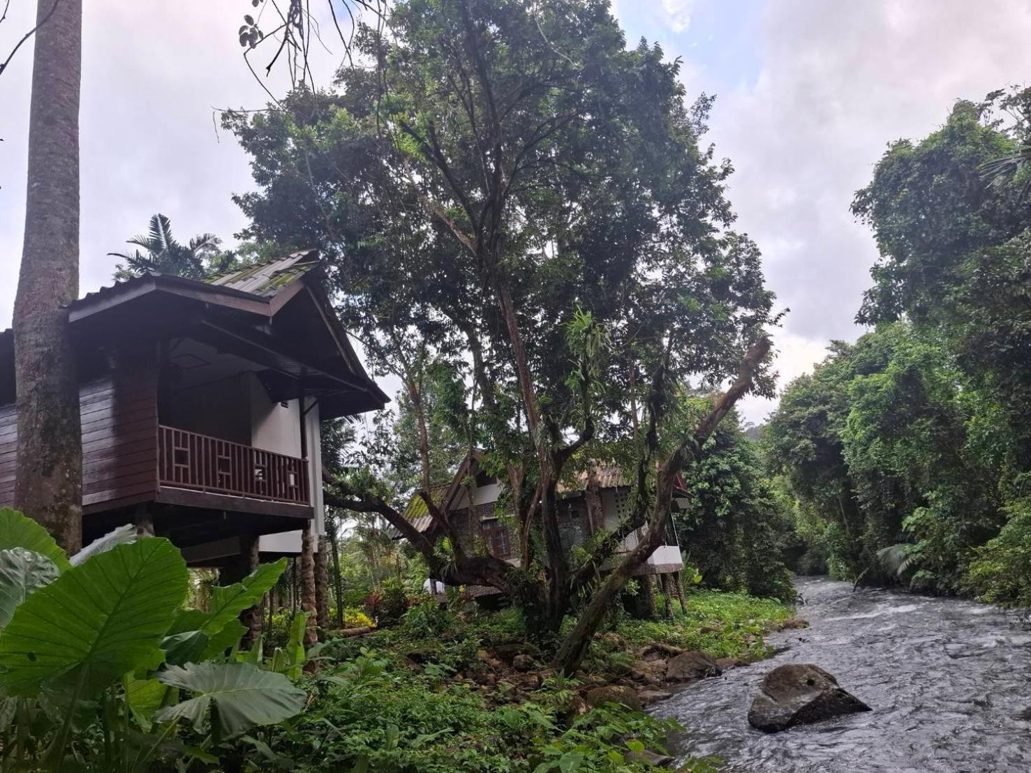 Tree Tops River Huts Khao Sok National Park エクステリア 写真