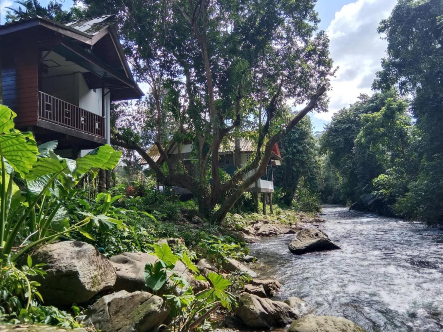 Tree Tops River Huts Khao Sok National Park エクステリア 写真